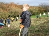 Raking off the old growth